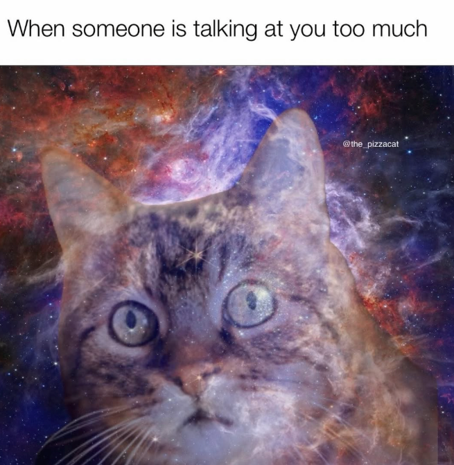 When someone is talking at you too much @the_pizzacat