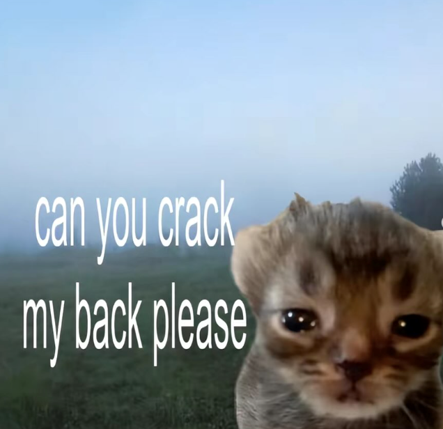 can you crack my back please