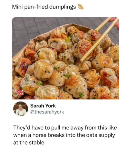 Mini pan-fried dumplings MEME ZAR Sarah York @thesarahyork They'd have to pull me away from this like when a horse breaks into the oats supply at the stable