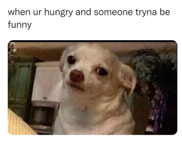 when ur hungry and someone tryna be funny