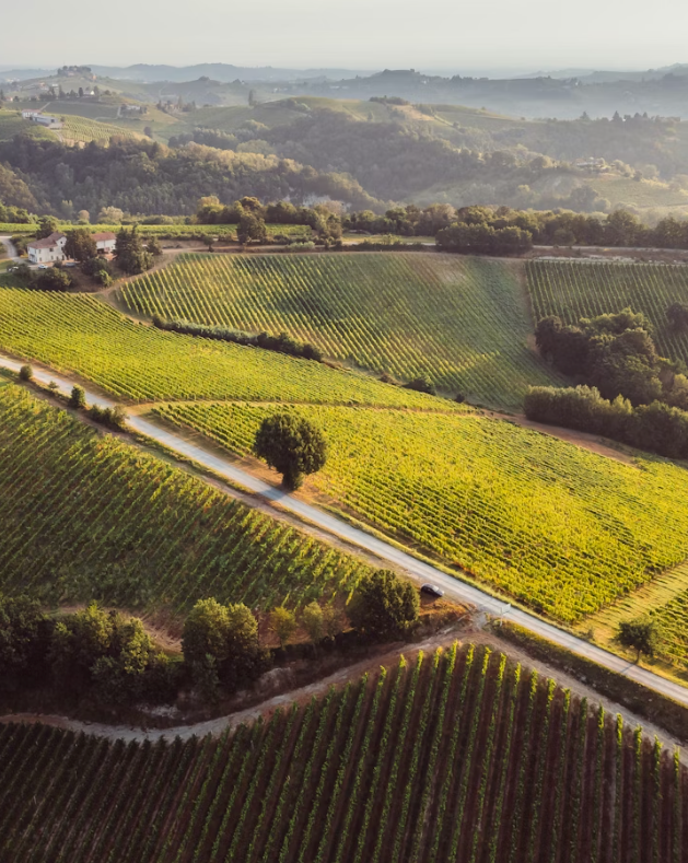 A picturesque rural winery with a rural road running through it
