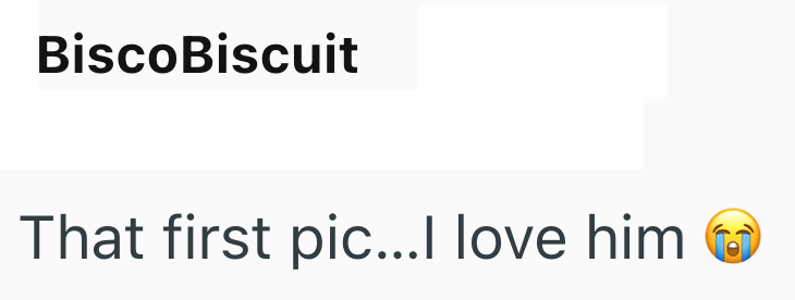 BiscoBiscuit That first pic...I love him
