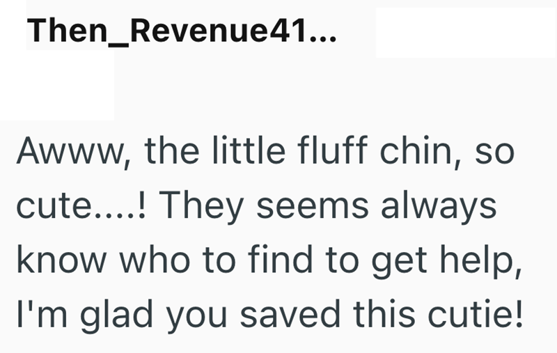 Then Revenue41... Awww, the little fluff chin, so cute....! They seems always. know who to find to get help, I'm glad you saved this cutie!
