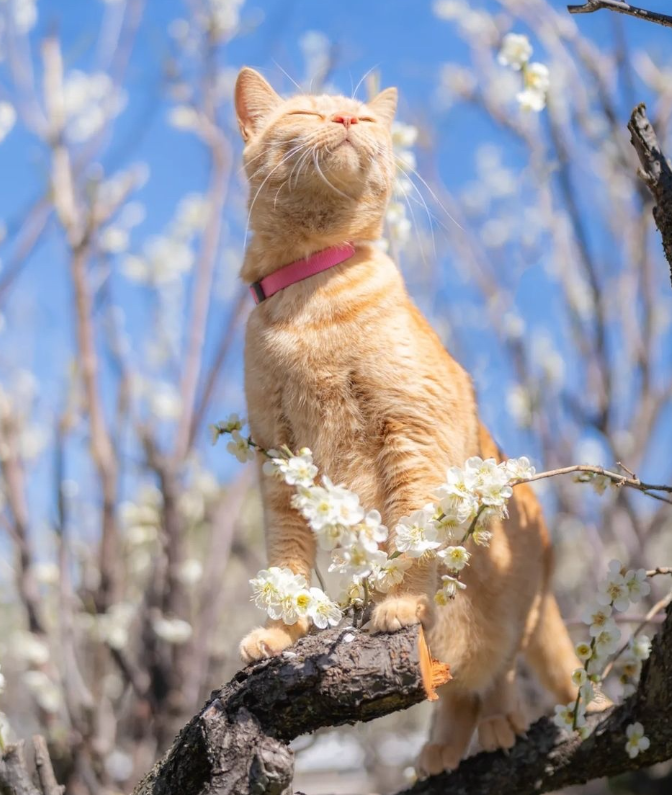 Cheezburger Image 10623086336