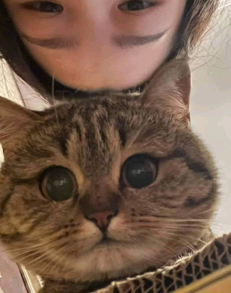 Cheezburger Image 10623088896