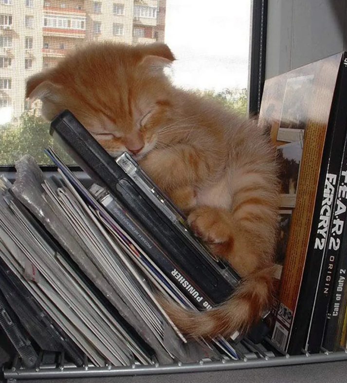 12 Call of Duty 2 ORIGIN FARCRY2 A.R.2 he PUNISHER