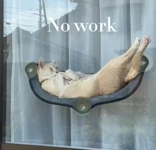 No work