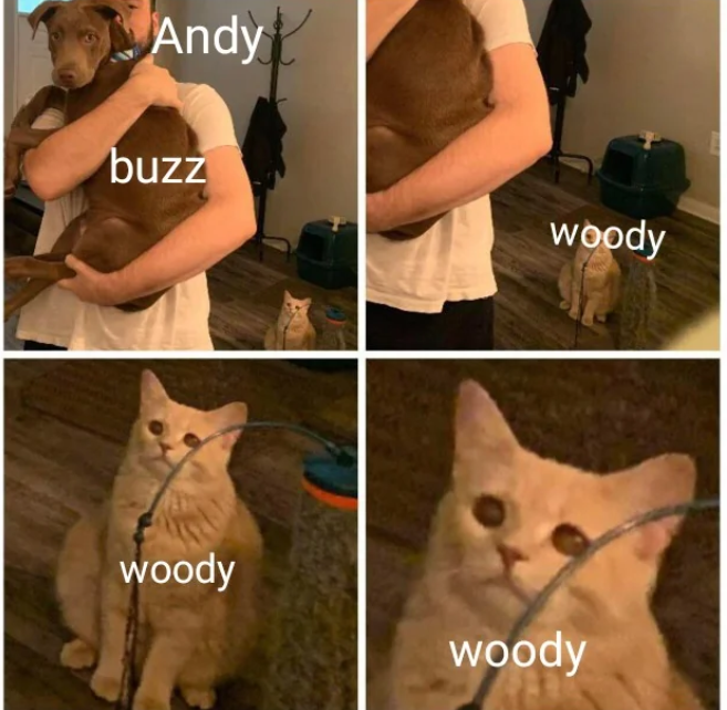 Andy buzz woody woody woody