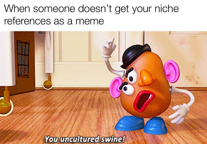 When someone doesn't get your niche references as a meme You uncultured swine!