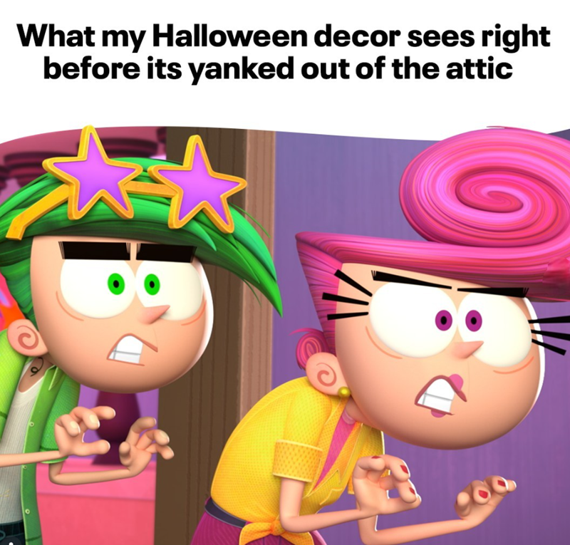 What my Halloween decor sees right before its yanked out of the attic