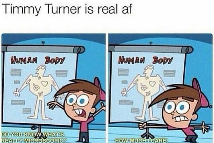 Timmy Turner is real af HUMAN BODY DO YOU KNOW WHAT'S REALLY MICROSCOPIC? Ο HUMAN BODY QO QO HOW MUCH I CAREL