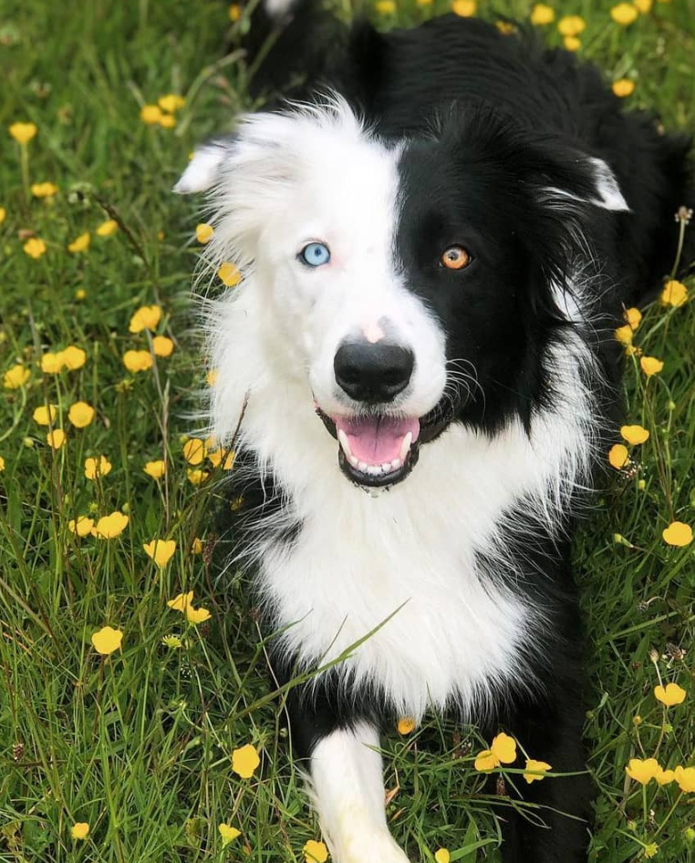 Cheezburger Image 10623111168