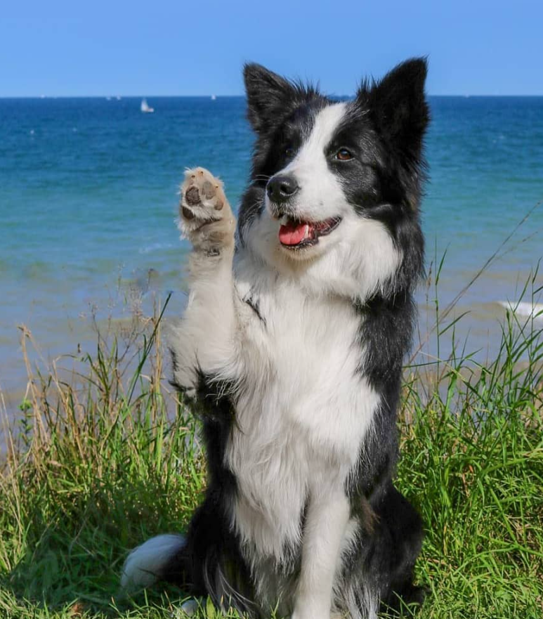 Cheezburger Image 10623111424