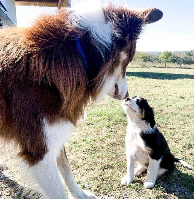 Cheezburger Image 10623112704