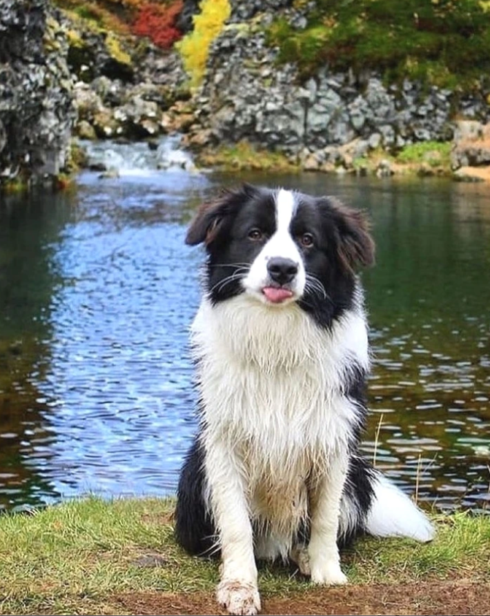 Cheezburger Image 10623114752