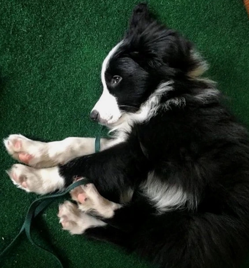 Cheezburger Image 10623115008