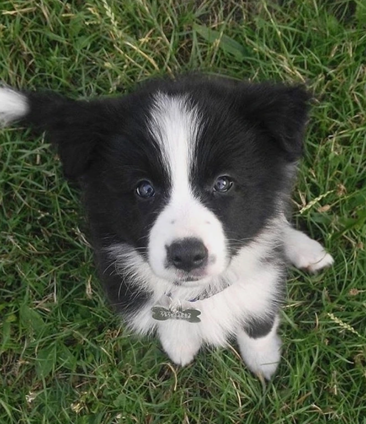 Cheezburger Image 10623116288