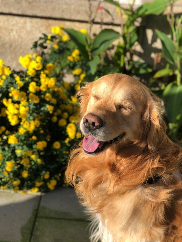 Cheezburger Image 10623128064