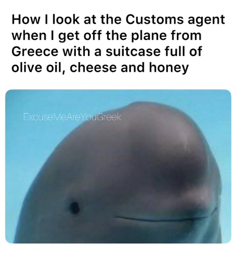 How I look at the Customs agent when I get off the plane from Greece with a suitcase full of olive oil, cheese and honey Excuse MeAre You Greek