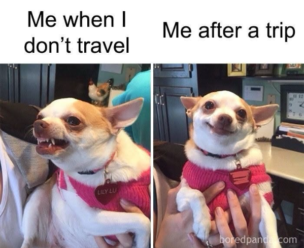 Me when I don't travel LILY LU Me after a trip boredpanda com 11 12