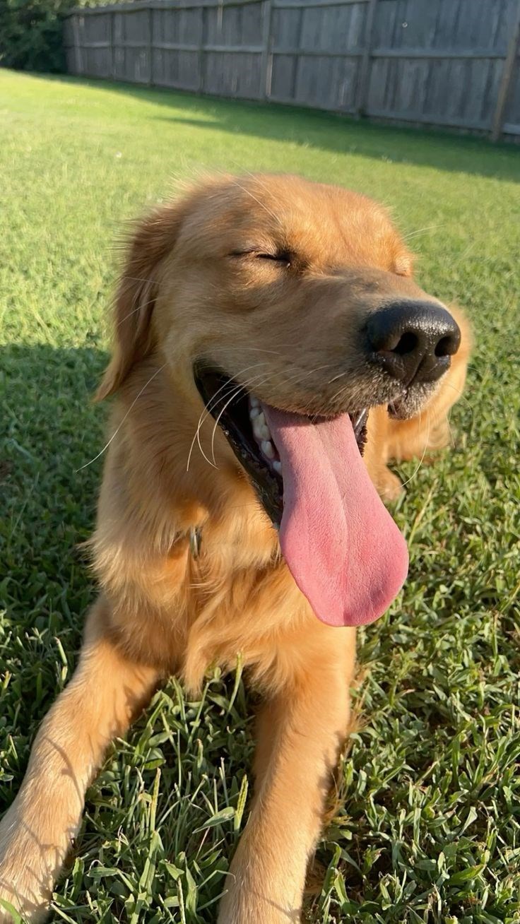 Cheezburger Image 10623140864