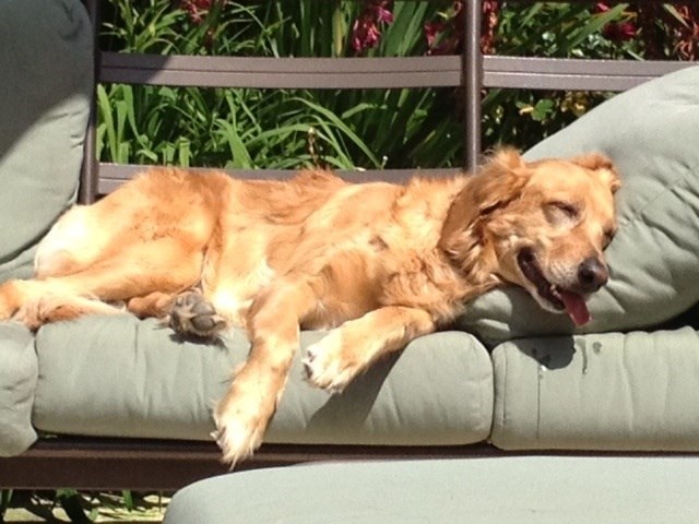 Cheezburger Image 10623141888