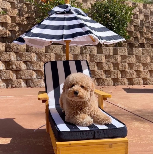 Cheezburger Image 10623142144