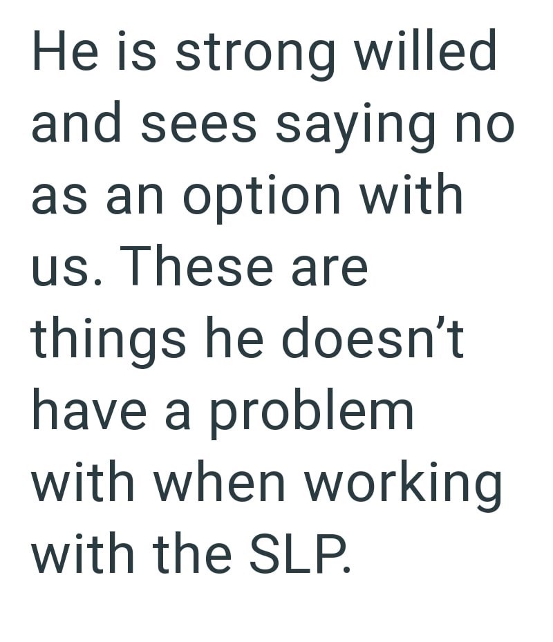 He is strong willed and sees saying no as an option with us. These are things he doesn't have a problem with when working with the SLP.