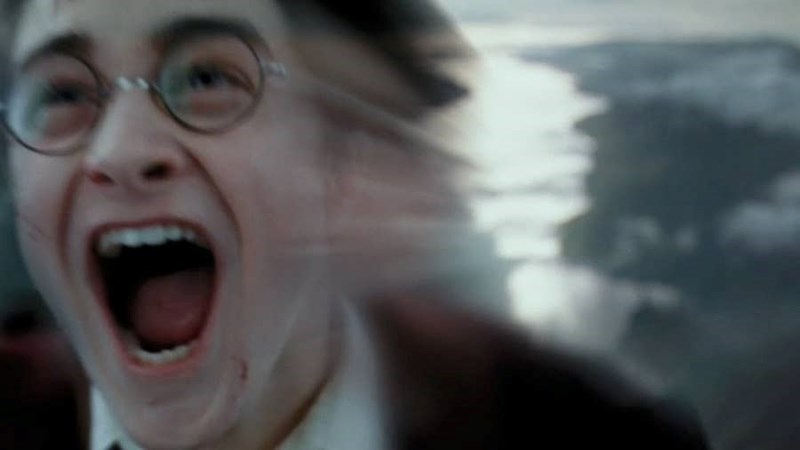 Cheezburger Image 10623181056