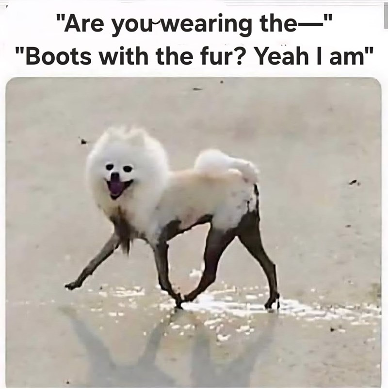 "Are you wearing the―" "Boots with the fur? Yeah I am"