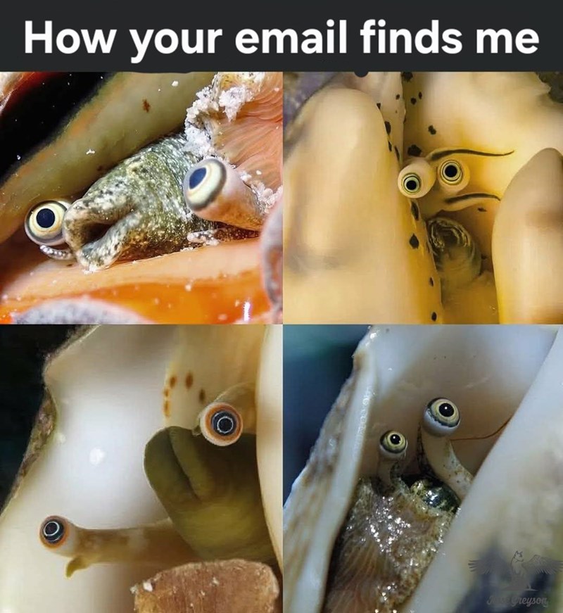 How your email finds me Jesse Greyson