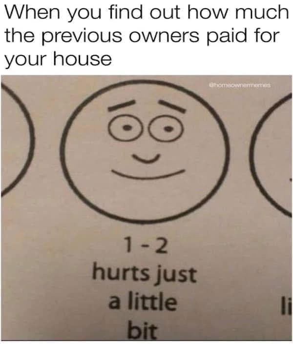 When you find out how much the previous owners paid for your house 1-2 hurts just a little bit dhomeownermemes