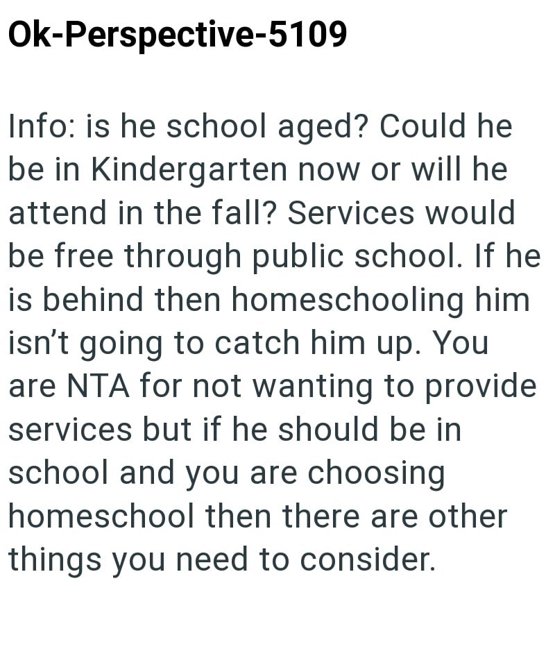 Ok-Perspective-5109 Info: is he school aged? Could he be in Kindergarten now or will he attend in the fall? Services would be free through public school. If he is behind then homeschooling him isn't going to catch him up. You are NTA for not wanting to provide services but if he should be in school and you are choosing homeschool then there are other things you need to consider.