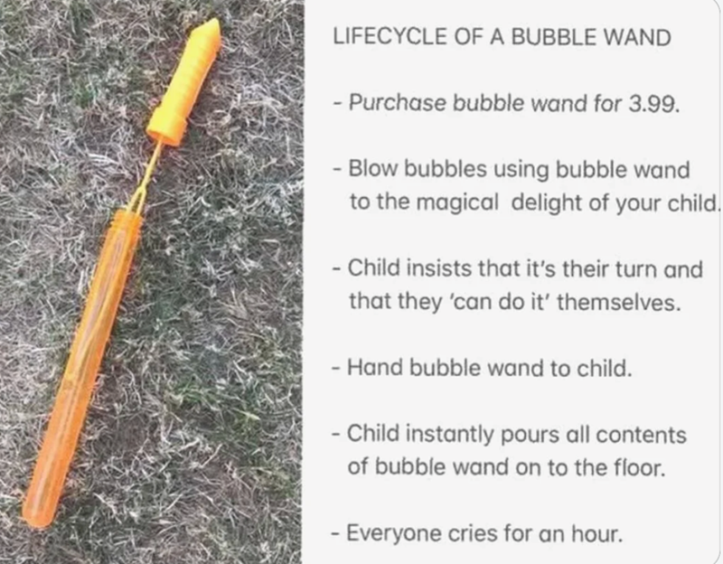 LIFECYCLE OF A BUBBLE WAND - Purchase bubble wand for 3.99. - Blow bubbles using bubble wand to the magical delight of your child. - Child insists that it's their turn and that they 'can do it' themselves. - Hand bubble wand to child. - Child instantly pours all contents of bubble wand on to the floor. - Everyone cries for an hour.