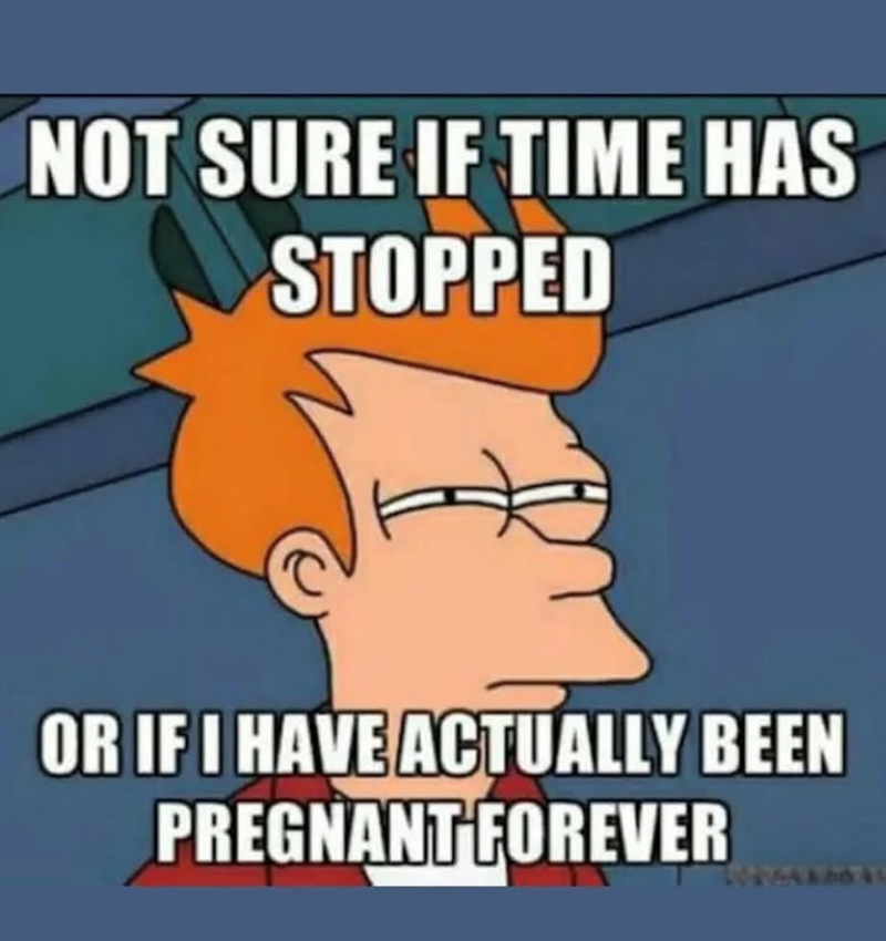 NOT SURE IF TIME HAS STOPPED OR IF I HAVE ACTUALLY BEEN PREGNANT FOREVER 45041