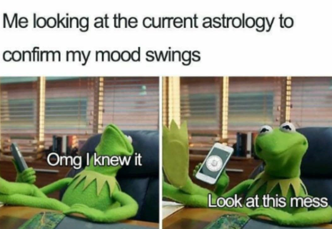 Me looking at the current astrology to confirm my mood swings Omg I knew it Look at this mess
