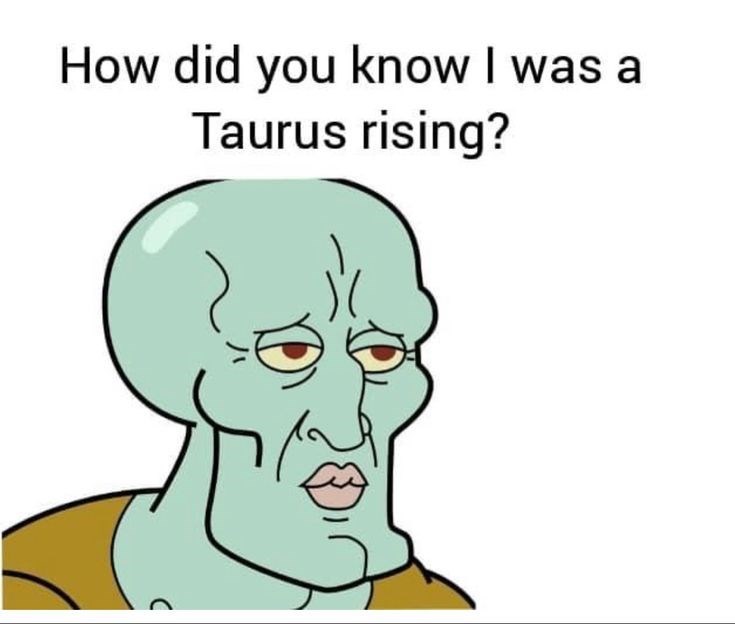 How did you know I was a Taurus rising?