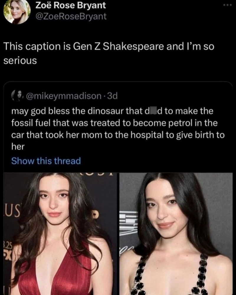Zoë Rose Bryant @ZoeRoseBryant This caption is Gen Z Shakespeare and I'm so serious @mikeymmadison-3d may god bless the dinosaur that did to make the fossil fuel that was treated to become petrol in the car that took her mom to the hospital to give birth to her Show this thread US 1.25 X