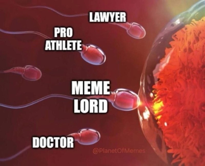 PRO ATHLETE LAWYER DOCTOR MEME LORD @PlanetOfMemes