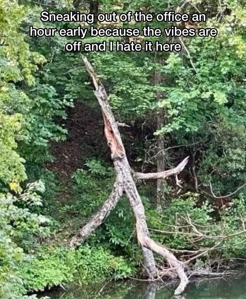 Sneaking out of the office an hour early because the vibes are off and I hate it here