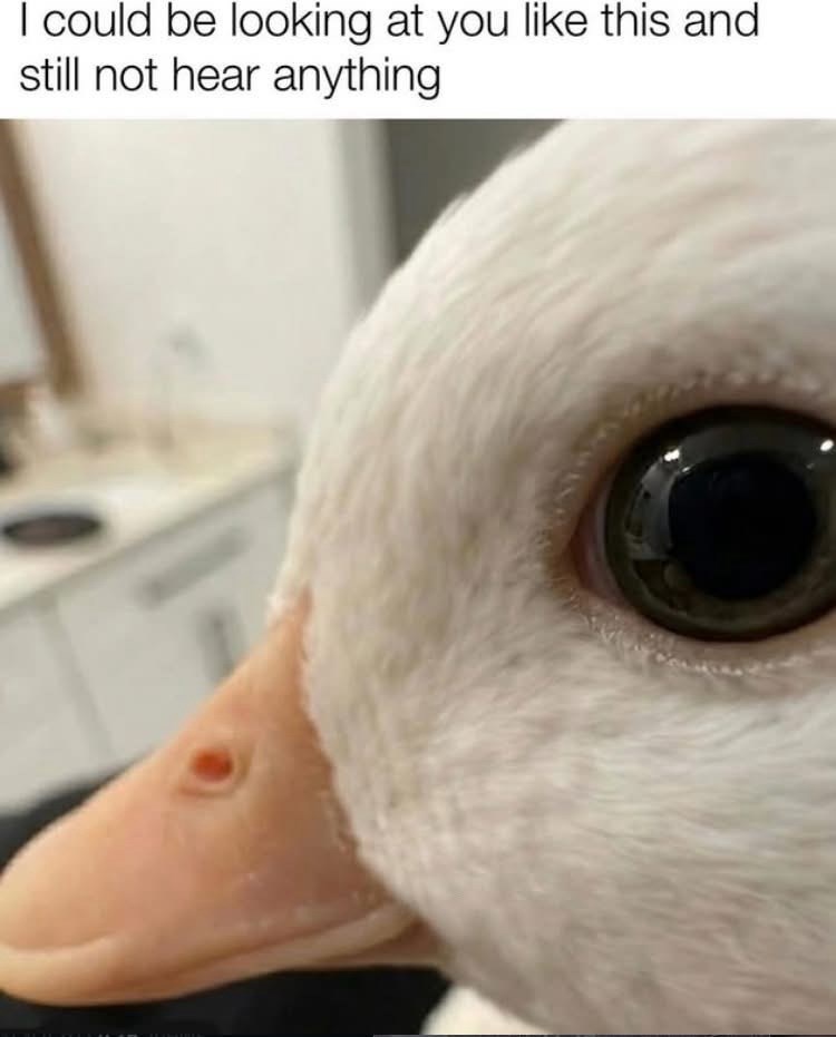 I could be looking at you like this and still not hear anything