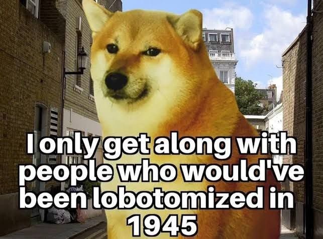 I only get along with people who would've been lobotomized in 1945 TGERGEL
