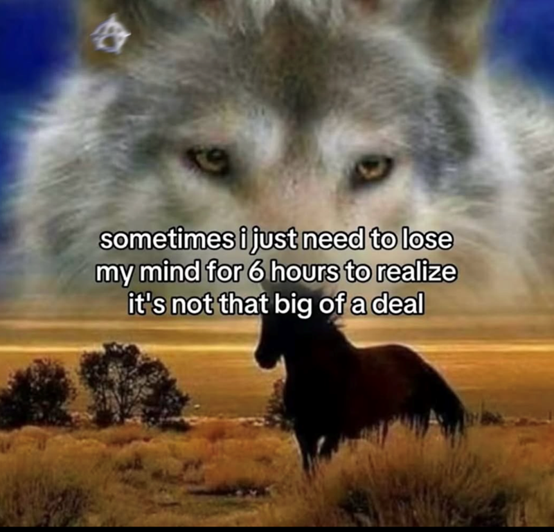 sometimes i just need to lose my mind for 6 hours to realize it's not that big of a deal