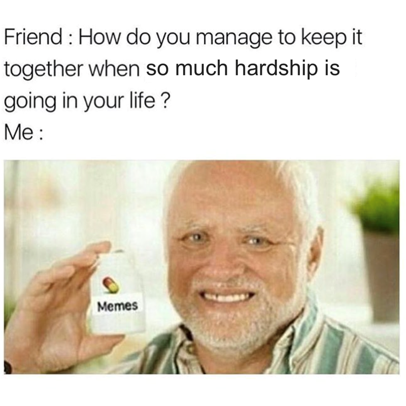 Friend: How do you manage to keep it together when so much hardship is going in your life? Me: Memes