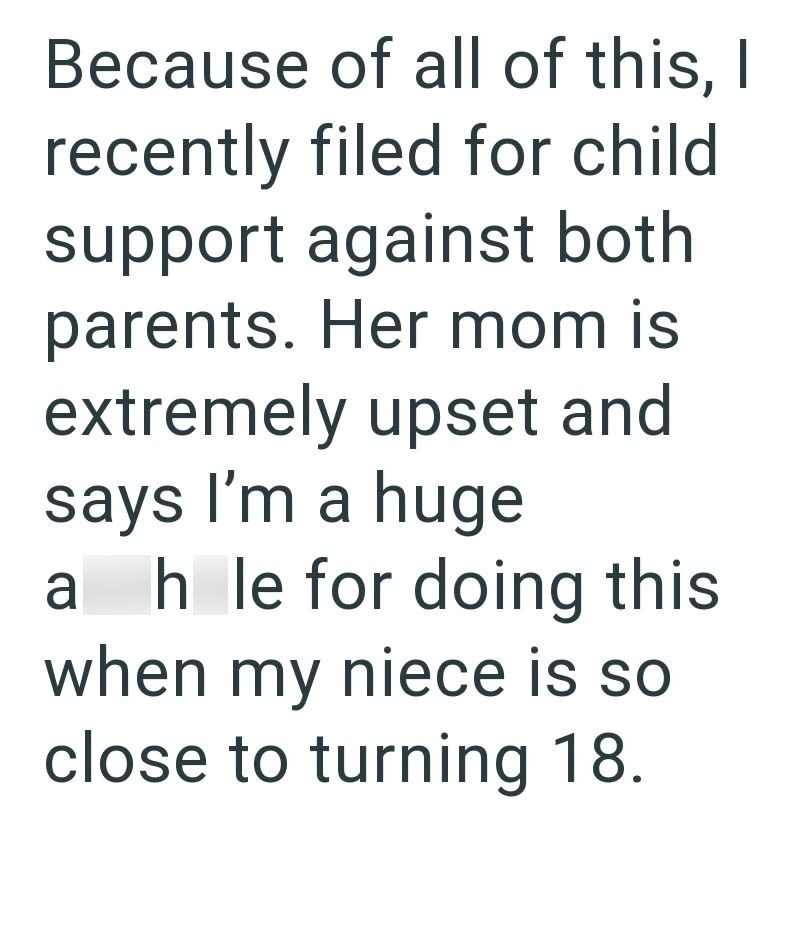 Because of all of this, I recently filed for child support against both parents. Her mom is extremely upset and says I'm a huge ahle for doing this when my niece is so close to turning 18.