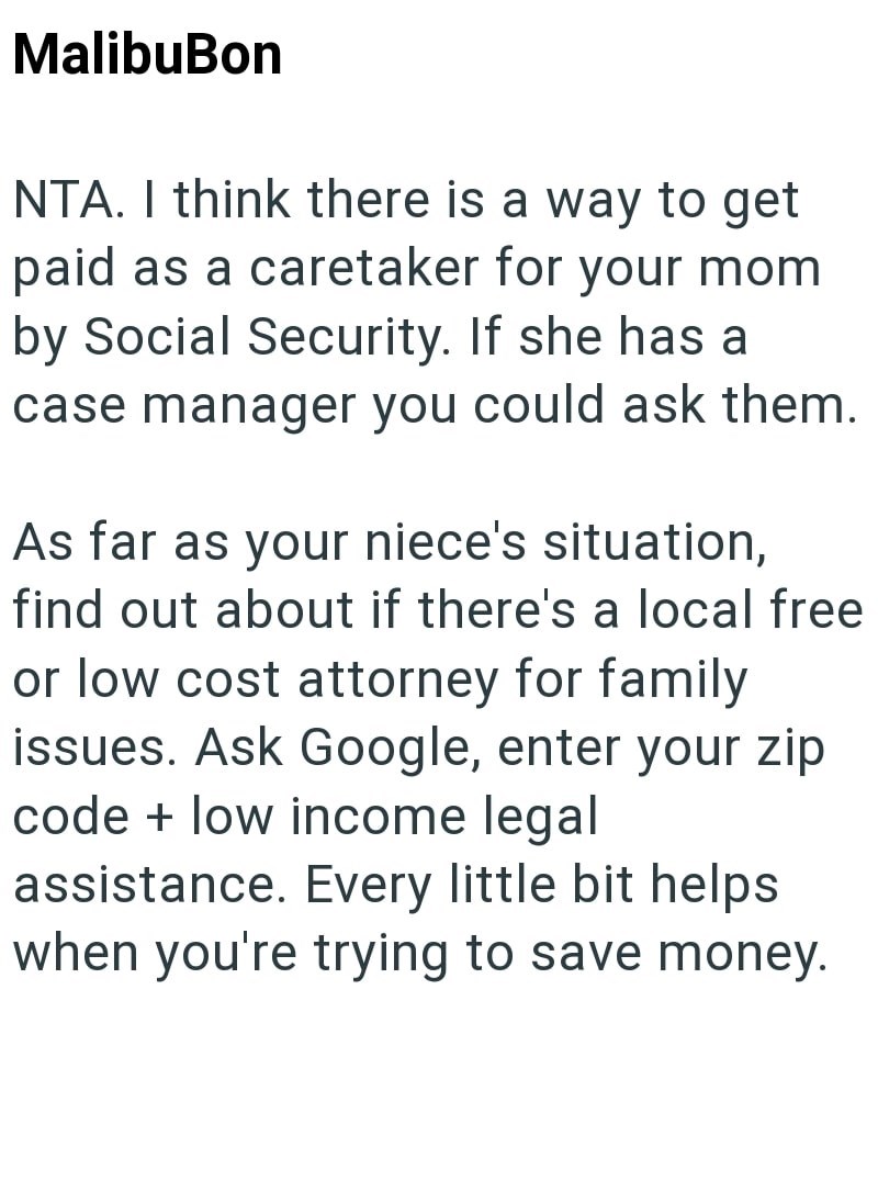 MalibuBon NTA. I think there is a way to get paid as a caretaker for your mom by Social Security. If she has a case manager you could ask them. As far as your niece's situation, find out about if there's a local free or low cost attorney for family issues. Ask Google, enter your zip code + low income legal assistance. Every little bit helps when you're trying to save money.