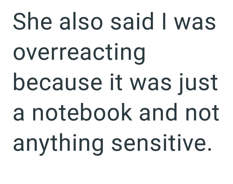 She also said I was overreacting because it was just a notebook and not anything sensitive.