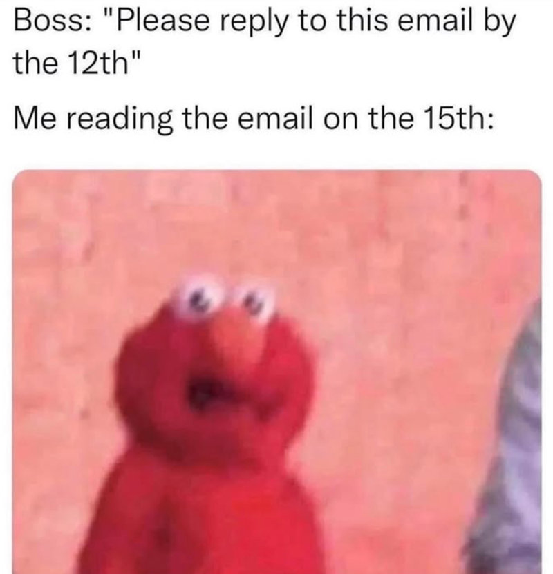 Boss: "Please reply to this email by the 12th" Me reading the email on the 15th: