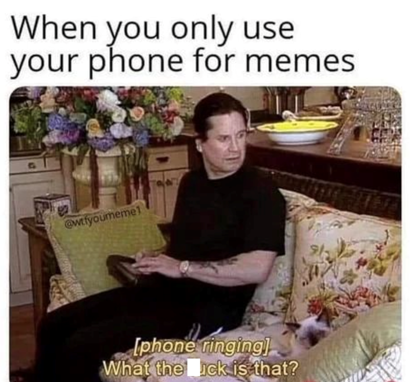 When you only use your phone for memes @w.fyoumemel [phone ringing] What the uck is that?