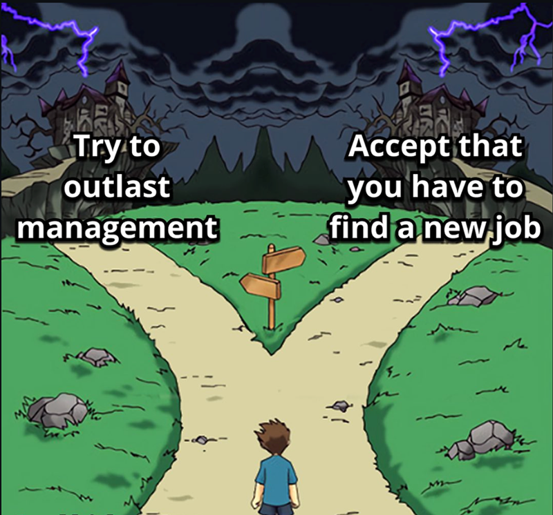 Try to outlast management Accept that you have to find a new job